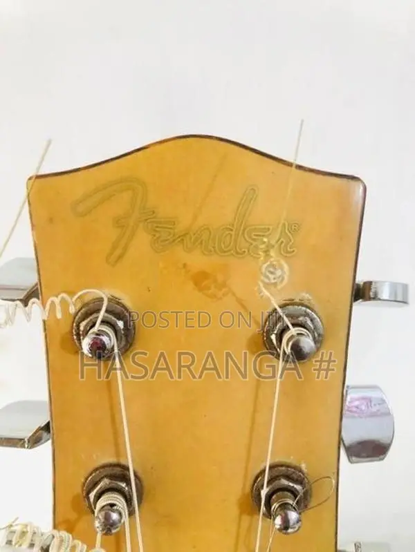 Fender Guitar