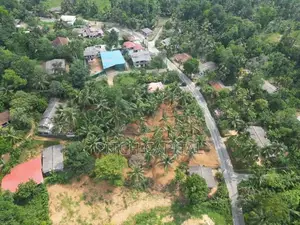 Main Road Facing Land for Sale in Diddeniya