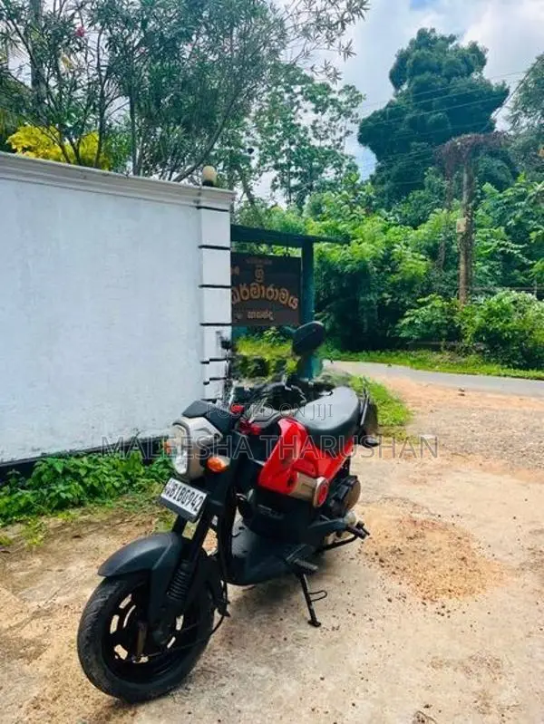 Honda Navi 2017