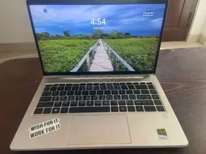 HP ProBook Laptop