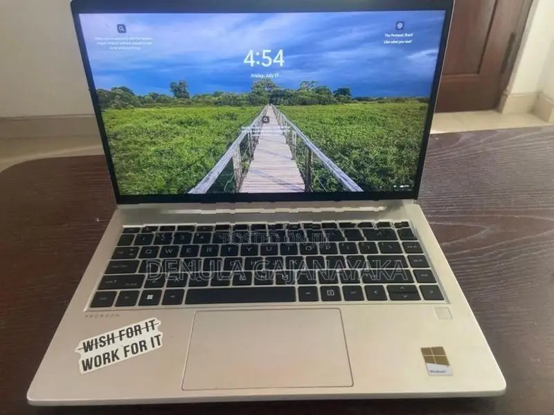HP ProBook Laptop