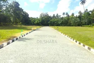 Beliatta Land for Sale