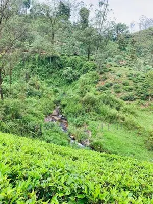 Beautiful Land Sale in Hatton
