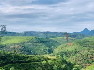 බිම් කොටස් හැටන්