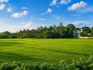 සුන්දර වෙල් යායකට මුහුණලා වටිනා ඉඩමක් කහතුඩුවෙන්