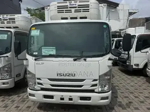 Isuzu Elf Freezer 17.5 2017