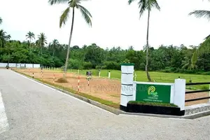 Land for Sale - Naiwala