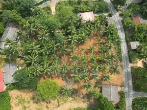 The Best Land In Dekdeniya