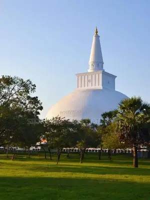 අනුරාධපුර සින්නක්කර ඉඩමක්