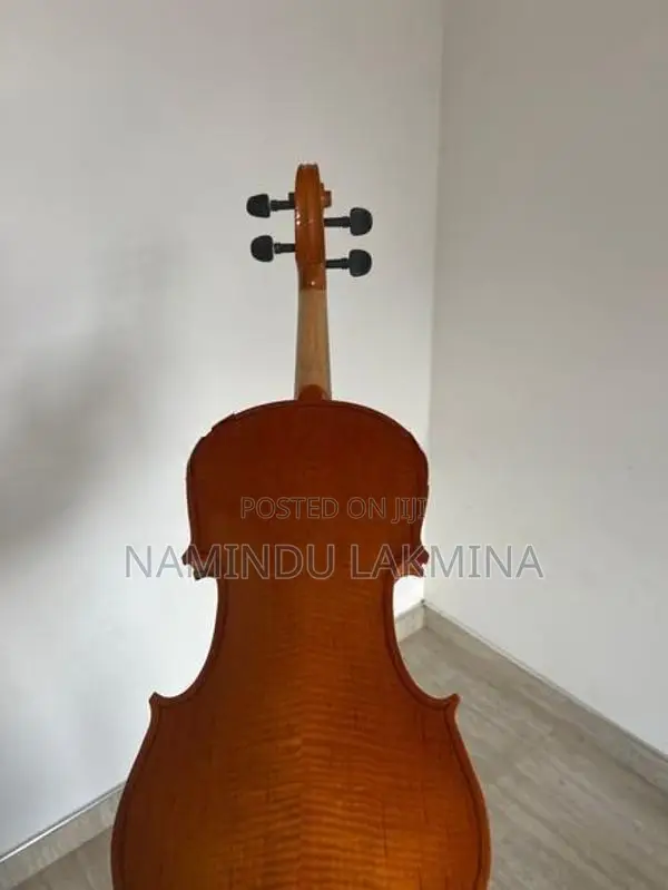 Violin