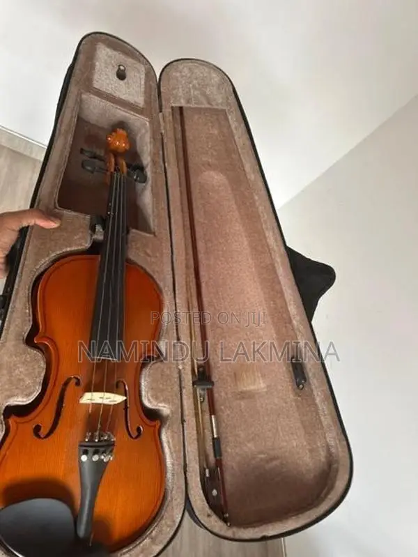 Violin