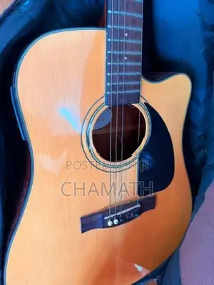 Fender Guitar