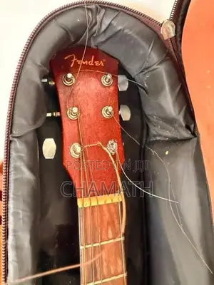 Fender Guitar