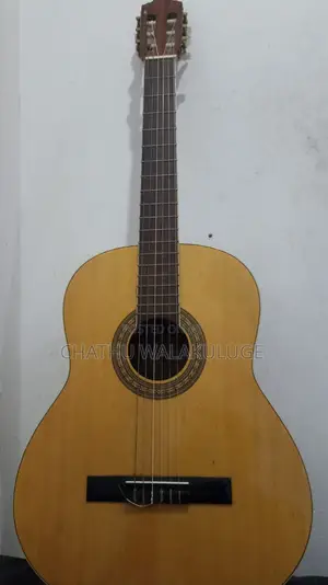 Guitar (Used)