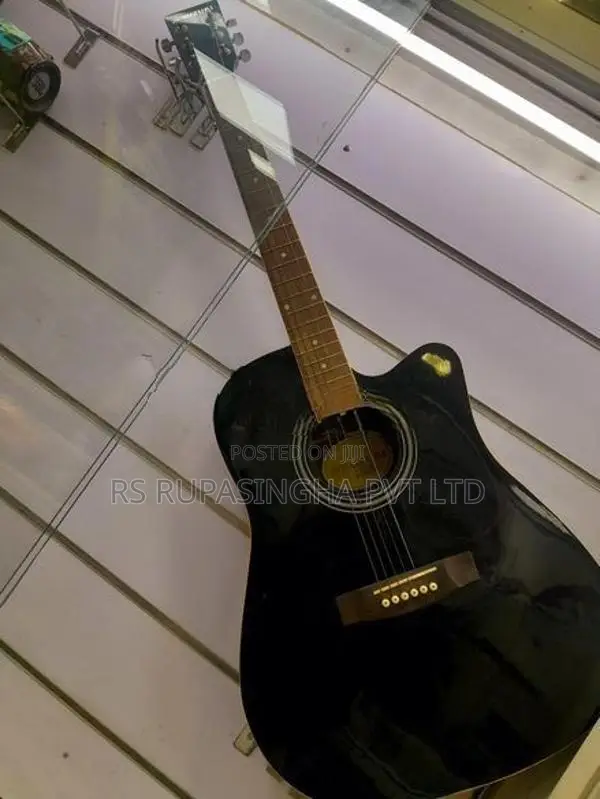 Suzuki Box Guitar