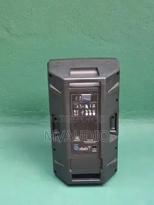Powered Speaker