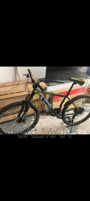 Viva India Mountain Bicycle