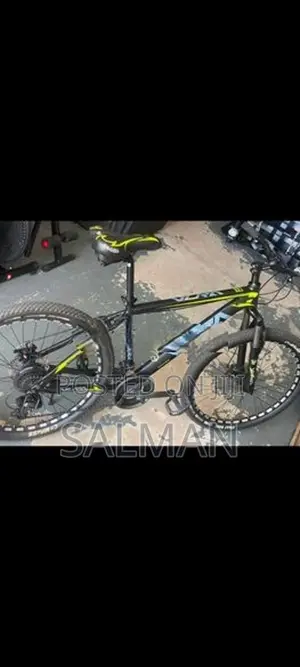 Viva India Mountain Bicycle