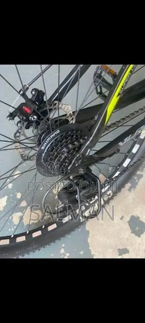 Viva India Mountain Bicycle