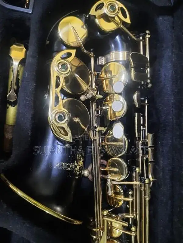 Alto Saxophone