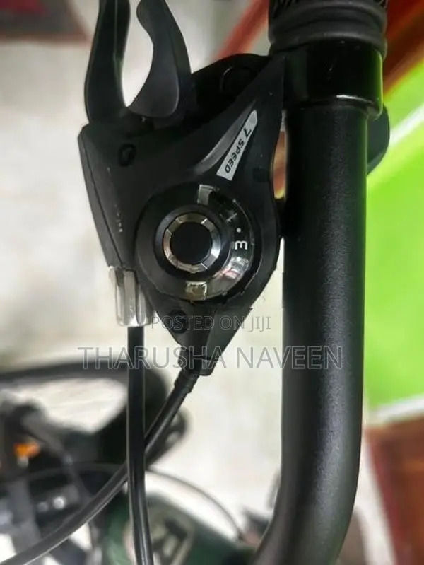Mountain Bicycle