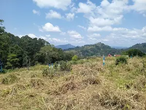 Valuable Land for Sale in Pussallawa