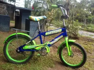 Kenton Kids Bicycle