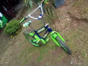 Kenton Kids Bicycle