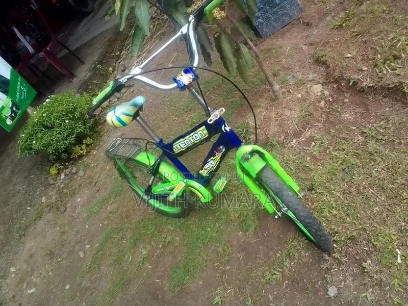Kenton Kids Bicycle