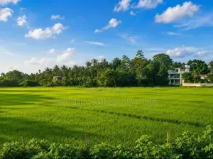 Kahathuduwa Paddy Field Face Valuable Land Sale