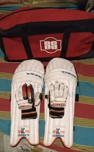 Cricket Set