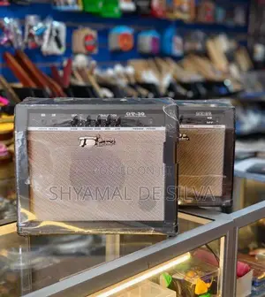 TS GT Guitar Amplifier