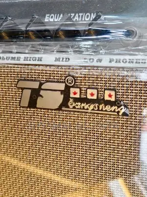 TS GT Guitar Amplifier