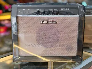 TS GT Guitar Amplifier