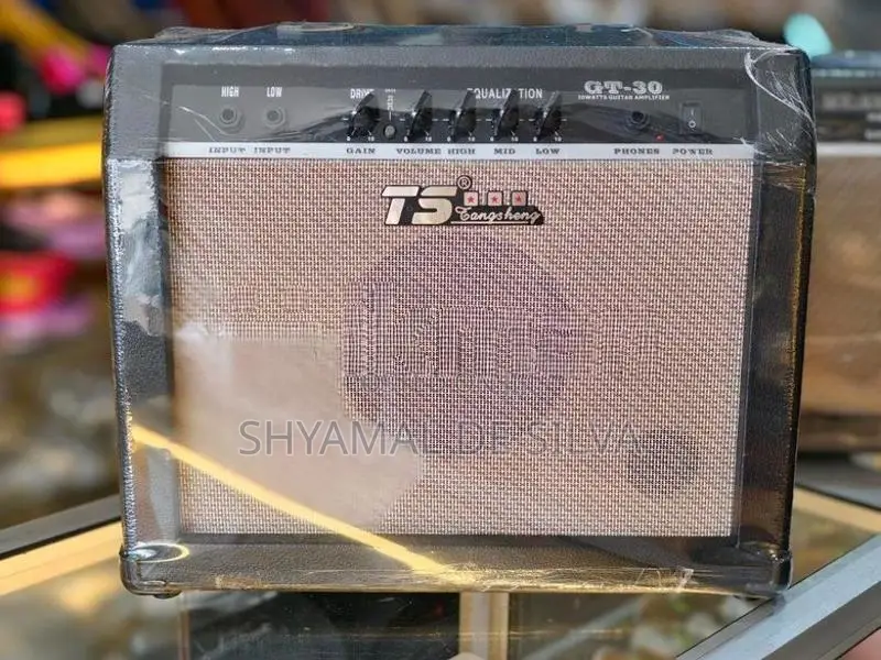 TS GT Guitar Amplifier
