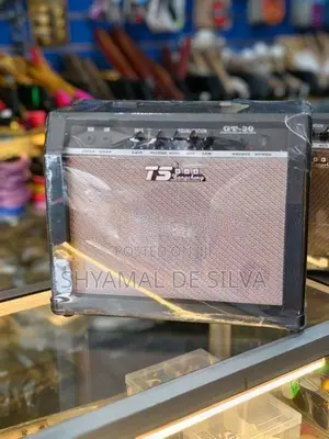 TS GT Guitar Amplifier