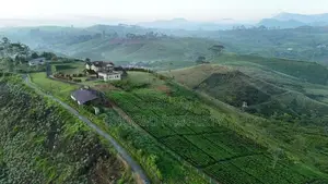 land for sale hatton