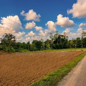 Best Luxury Land for Sale in Nawagamuwa