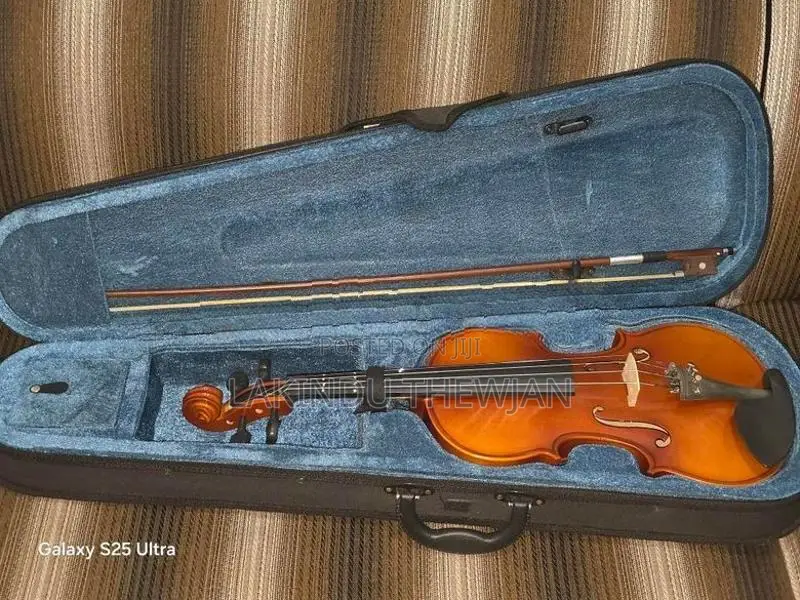 SUPER LARK VIOLIN