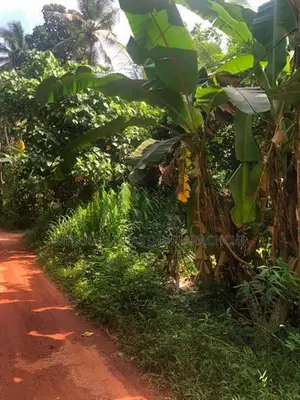 වටිනා ඉඩමක් විකිණීමට – පහලමුල්ල, ගොඩගම, එල්ලක්කල