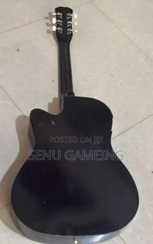 Guitar