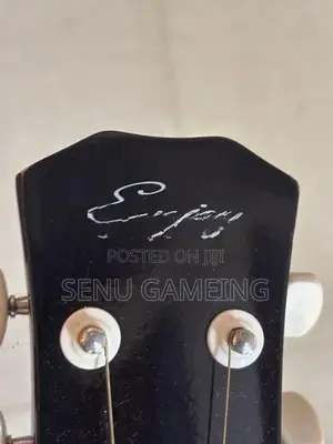 Guitar