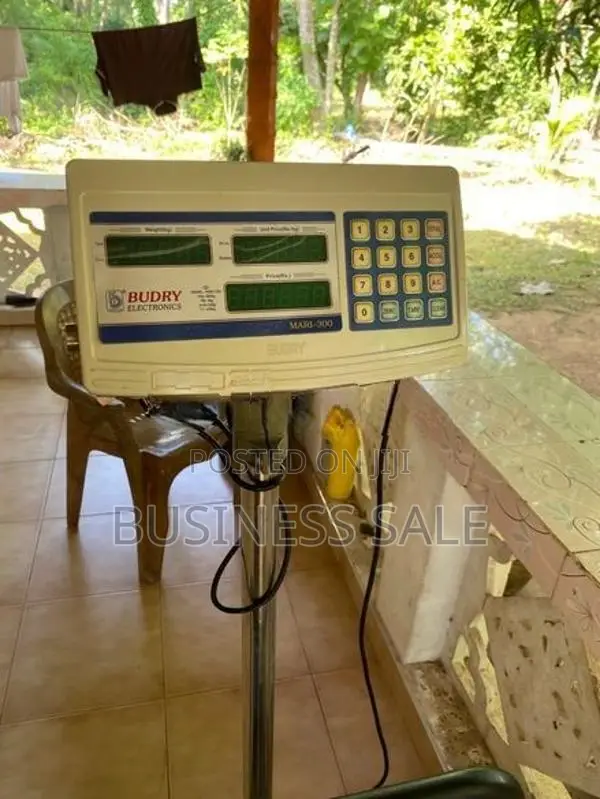 Industrial 300KG Budry Scale