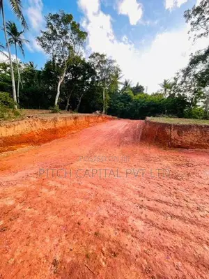 Dikwella Superb Tourism Land Plots Sale