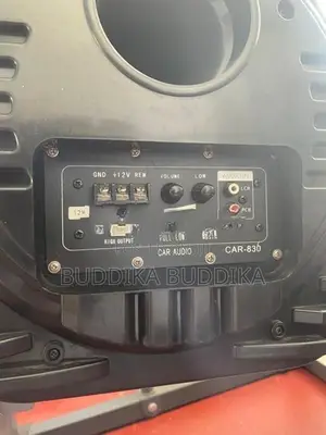Vehicle Subwoofer