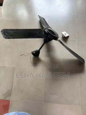 Indian Ceiling Fan