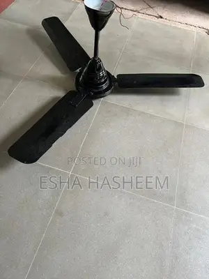Indian Ceiling Fan