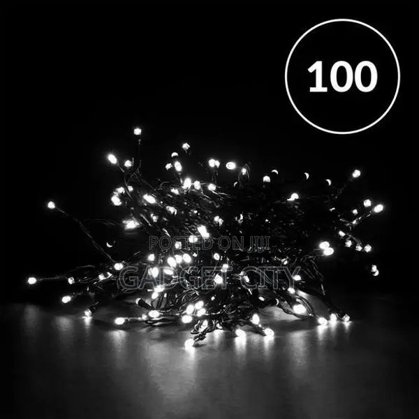 100 LED Christmas Light 7.5m – White
