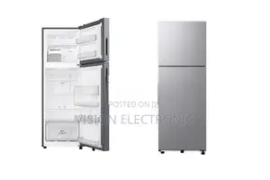 Samsung Double 253 Liter Digital Inverter Refrigerator (RT40)