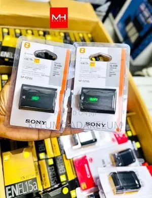 Canon Nikon Sony Camera Battery / Charger